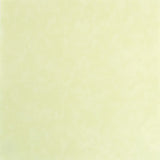vps12-p122 Mint Green Velvet Paper 12 sheets of   12" x 12"