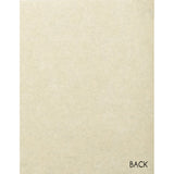 vps-p82 Asparagus Green Velvet Paper 12 sheets of  8 1/2" x 11"