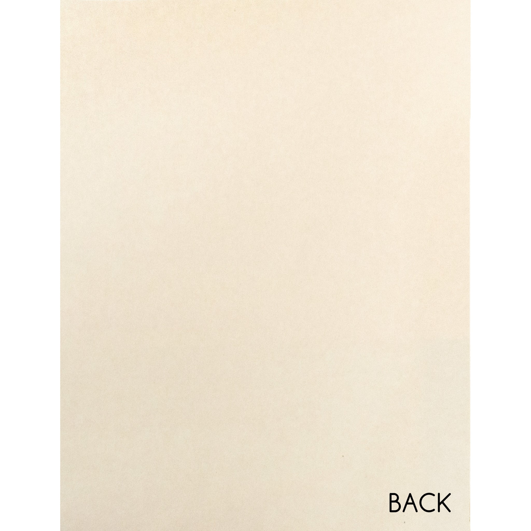 vps-p11 Champagne Velvet Paper 12 sheets of 8 1/2
