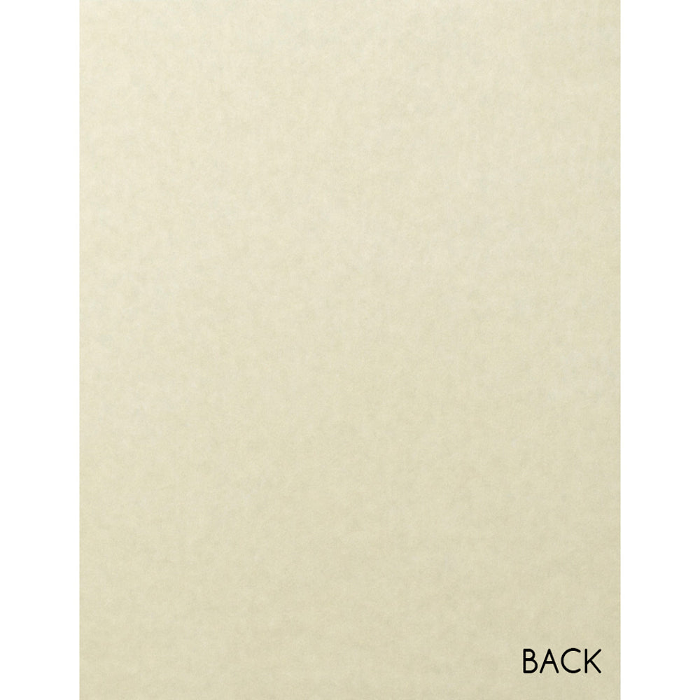 S.E.I. Velvet Paper – 12 Sheets, 8.5x11 Inches, Wine/Burgundy Color