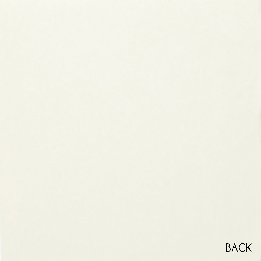 vps12-p122 Mint Green Velvet Paper 12 sheets of 12