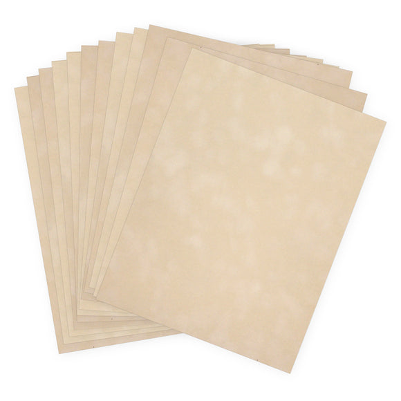 vps-p11 Champagne Velvet Paper 12 sheets of 8 1/2