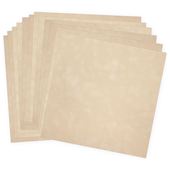 vps12-p11 Champagne Velvet Paper 12 sheets of  12