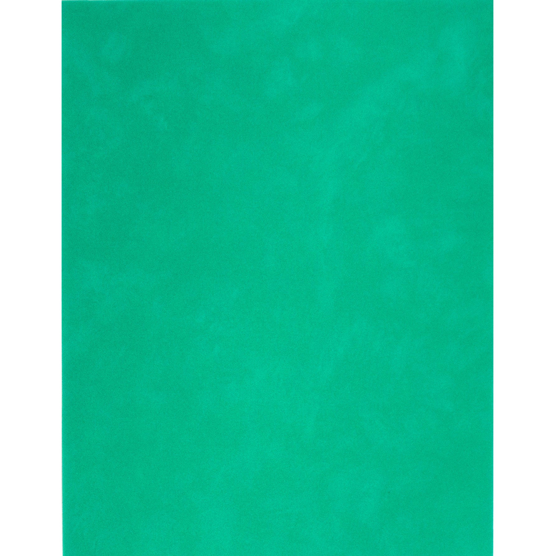 vps12-p125 Alpine Green Velvet Paper 12 sheets of 12 x 12 – SEI